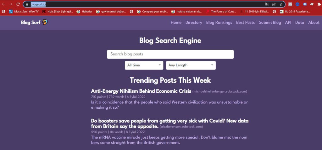 Google'a alternatif blog arama motoru blogsurf.io